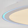 Telsen Plafondpaneel LED Wit, 2-lichts, Afstandsbediening, Kleurwisselaar