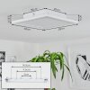 Telsen Plafondpaneel LED Wit, 2-lichts, Afstandsbediening, Kleurwisselaar