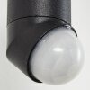 Theux Buiten muurverlichting Goud, Zwart, 1-licht, Bewegingsmelder