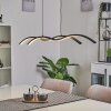 Eaglesham Hanglamp LED Zwart, 1-licht