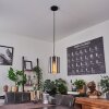 Roosevelt Hanger Zwart, 1-licht