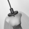 Roosevelt Hanger Zwart, 1-licht