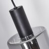 Roosevelt Hanger Zwart, 1-licht