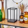 Ranquile Tafellamp LED Zwart, 2-lichts