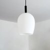Magnano Hanger Zwart, 1-licht