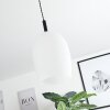 Magnano Hanger Zwart, 1-licht