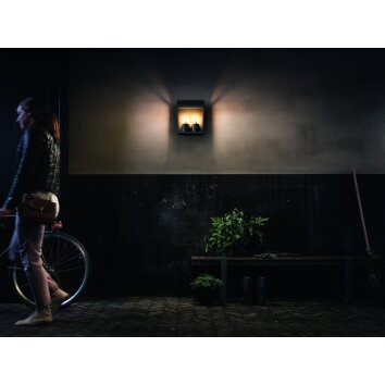 Philips Harvest Buiten muurverlichting Zwart, 2-lichts