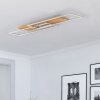 Elobra Panama Plafondlamp LED Natuurlijke kleuren, 2-lichts