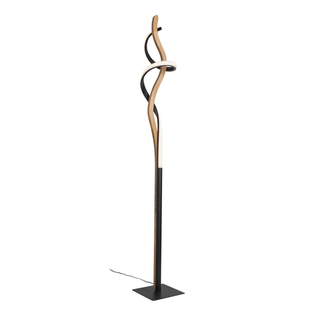Elobra Argentina Staande lamp LED Natuurlijke kleuren, Zwart, 1-licht main product photo
