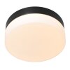 Steinhauer Ikaro Plafondlamp LED Zwart, 1-licht