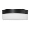Steinhauer Ikaro Plafondlamp LED Zwart, 1-licht