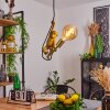Suardi Hanger Goud, Zwart, 1-licht