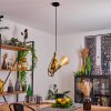 Suardi Hanger Goud, Zwart, 1-licht