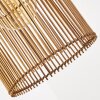 Calchines Hanger Zwart, 1-licht
