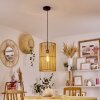 Calchines Hanger Zwart, 1-licht