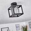 Barracon Plafondlamp Zwart, 1-licht