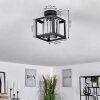 Barracon Plafondlamp Zwart, 1-licht