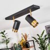 Campanas Plafondlamp Messing, Zwart, 2-lichts