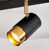 Campanas Plafondlamp Messing, Zwart, 2-lichts