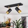 Campanas Plafondlamp Messing, Zwart, 2-lichts