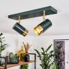 Campanas Plafondlamp Groen, Messing, 2-lichts