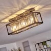 Barracon Plafondlamp Zwart, 3-lichts