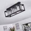 Barracon Plafondlamp Zwart, 3-lichts