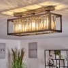 Barracon Plafondlamp Zwart, 3-lichts