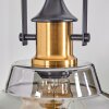 Trejos Hanger Messing, Zwart, 1-licht