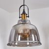 Trejos Hanger Messing, Zwart, 1-licht
