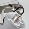 Puelches Plafondlamp Nikkel mat, 2-lichts