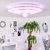 Lindero Plafondpaneel LED Wit, 2-lichts, Afstandsbediening, Kleurwisselaar