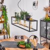 Woden Hanglamp Zwart, 4-lichts