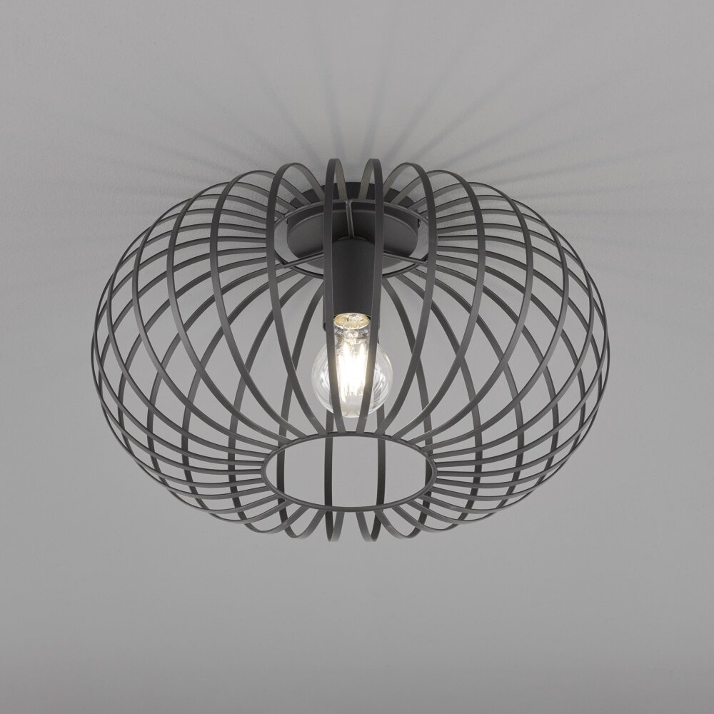 Fischer & Honsel Mocca Plafondlamp Zwart, 1-licht main product photo
