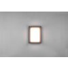 Trio Witham Buiten muurverlichting LED Antraciet, 1-licht