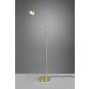 Trio Franklin Staande lamp LED Messing, 1-licht