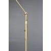 Trio Franklin Staande lamp LED Messing, 1-licht