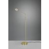 Trio Franklin Staande lamp LED Messing, 1-licht