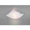 Trio Elisa Plafondlamp Chroom, 2-lichts