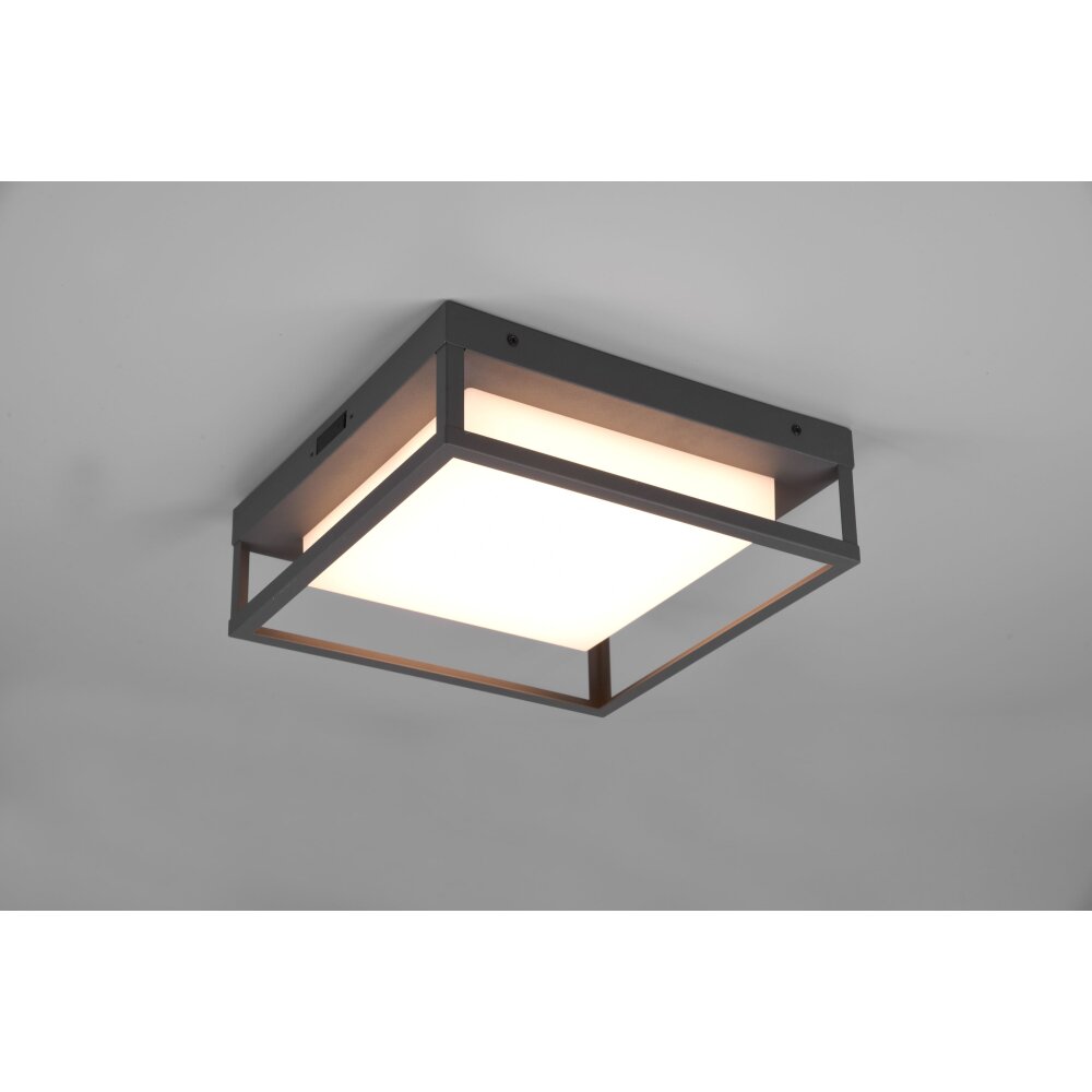 Trio Witham Plafondlamp LED Antraciet, 1-licht main product photo