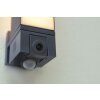 Lutec CUBA Buiten muurverlichting LED Antraciet, 1-licht, Bewegingsmelder