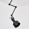Tablazos Plafondlamp Zwart, 1-licht