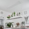 Jabilla Hanglamp Wit, 6-lichts