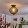Caracoles Plafondlamp Zwart, 1-licht