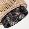 Zaracure Hanger Zwart, 1-licht