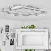 Wilderswil Plafondpaneel LED Wit, 1-licht