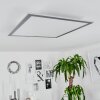 Wilderswil Plafondpaneel LED Wit, 1-licht