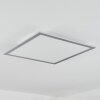 Wilderswil Plafondpaneel LED Wit, 1-licht