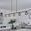 Belleoram Hanglamp LED Zwart, 5-lichts