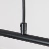 Belleoram Hanglamp LED Zwart, 5-lichts